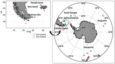 DNA Metabarcoding as a Marine Conservation and Management Tool: A Circumpolar Examination of Fishery Discards in the Diet of Threatened Albatrosses